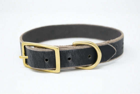Three Forks Ranch Full Leather Collars